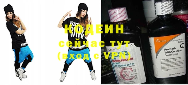молекула духа Дубовка