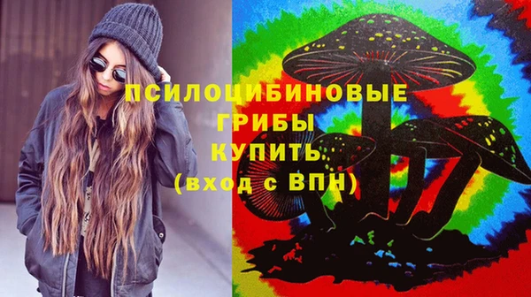 бошки Абдулино