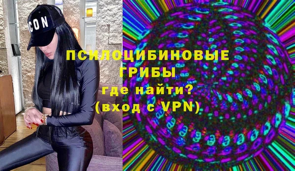 молекула духа Алексеевка